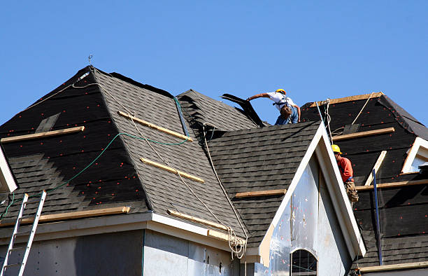 Best Roof Gutter Cleaning  in Krum, TX