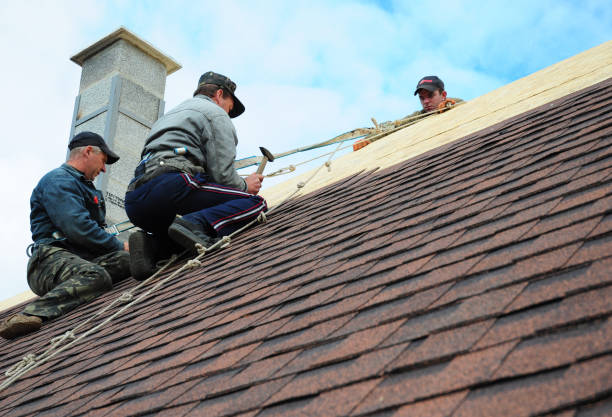 Best Gutter Installation and Roofing  in Krum, TX